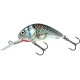 SALMO - Wobler Hornet sinking - 4 cm green tiger