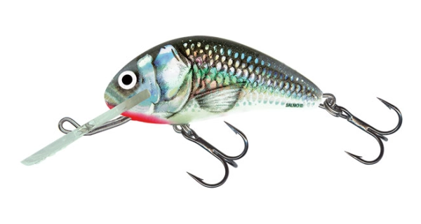 SALMO - Wobler Hornet Sinking Holographic Grey Shiner 5 cm