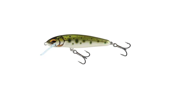 SALMO - Wobler Minnow Floating 6 cm 4 g Yasame Ayu