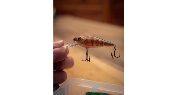 SALMO - Wobler Rattlin Executors SDR Clear 5 cm 5,5 g Brown Perch