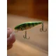 SALMO - Wobler Rattlin Executors SDR Clear 5 cm 5,5 g Hot Perch