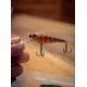 SALMO - Wobler Rattlin Executors SDR Clear 7 cm 8 g Brown Perch