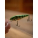 SALMO - Wobler Rattlin Executors SDR Clear 7 cm 8 g Hot Perch