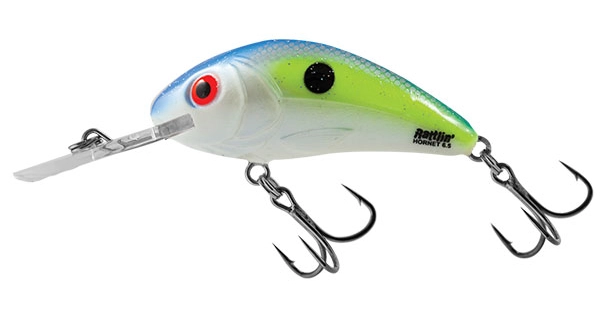 SALMO - Wobler Rattlin Hornet Floating Sexy Shad 6,5 cm