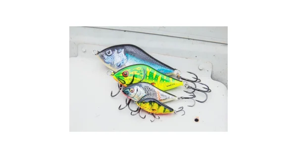 SALMO - Wobler Slider Sinking 10 cm 50 g Chart