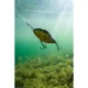 SALMO - Wobler Slider Sinking 10 cm 50 g Holo Tiger