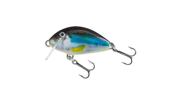 SALMO - Wobler Tiny Sinking 3 cm 2,5 g Holo Smelt