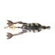 SAVAGE GEAR - Imitácia kačica 3D Hollow Body Duckling AKA Fruck Natural 7,5 cm 15 g