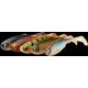 SAVAGE GEAR - Súprava nástrah Craft Shad 8.8 cm 4.2 g Clear Water Mix 5 ks