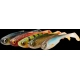 SAVAGE GEAR - Súprava nástrah Craft Shad 8,8 cm 4,2 g Clear Water Mix 5 ks