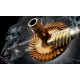 SHIMANO - Navijak Stella FK C5000 XG
