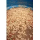 SONUBAITS - Lepidlo na červy Maggot Glue 300 g