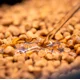 SONUBAITS - Olej Clear Pellet Oil 200 ml Power Scopex