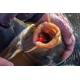 SONUBAITS - Wafters Band'Um Wafter 10 mm 45 g Fluoro