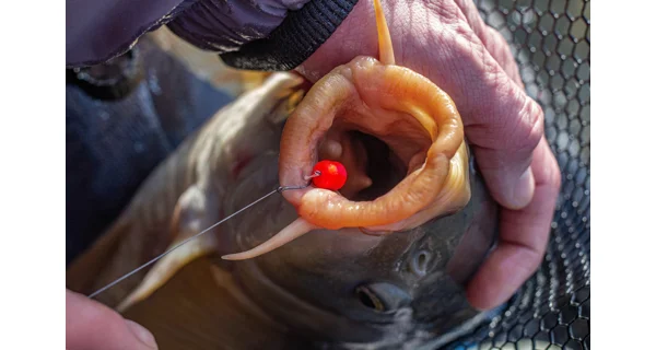 SONUBAITS - Wafters Band'Um Wafter 10 mm 45 g Fluoro