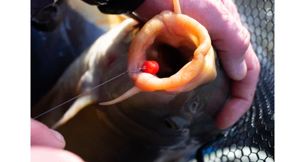 SONUBAITS - Wafters Band'Um Wafter 10 mm 45 g Fluoro