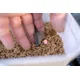 SONUBAITS - Wafters Band'Um Wafter 6 mm 45 g Washed Out