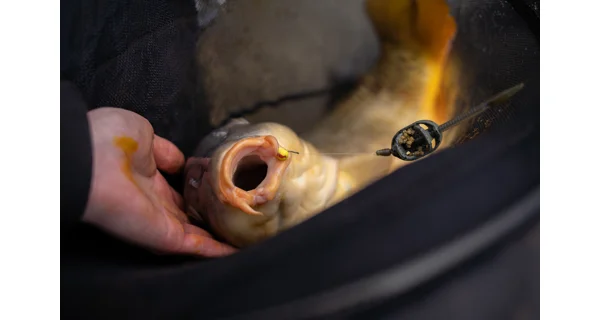 SONUBAITS - Wafters Band'Um Wafter 8 mm 45 g Power Scopex