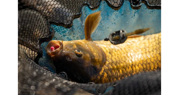 SONUBAITS - Wafters Micro Band'Um Krill & Squid 30 g
