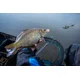 SONUBAITS - Wafters Micro Band'Um Power Scopex 30 g