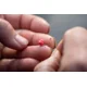 SONUBAITS - Wafters Micro Band'Um Power Scopex 30 g
