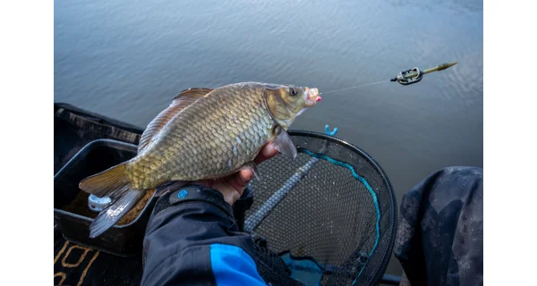 SONUBAITS - Wafters Micro Band'Um Salted Caramel 30 g