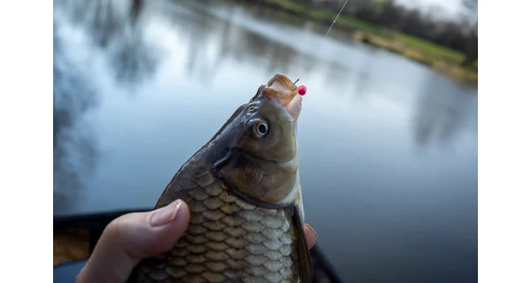 SONUBAITS - Wafters Micro Band'Um Salted Caramel 30 g