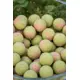 SONUBAITS - Wafters Spike'um Wafter 8 mm 35 g Meaty Mussel