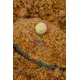 SONUBAITS - Wafters Spike'um Wafter 8 mm 35 g Meaty Mussel