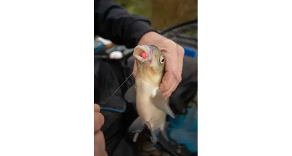 SONUBAITS - Wafters Spike'um Wafter 8 mm 40 g Chocolate Orange