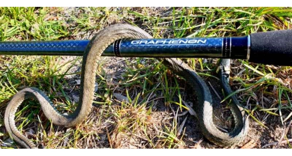 SPORTEX - Kaprový prút Graphenon Carp 3,96 m 3,75 lb