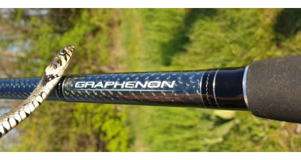 SPORTEX - Kaprový prút Graphenon Carp 3,96 m 3,75 lb
