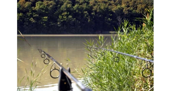 SPORTEX - Kaprový prút Revolt Carp 3,96 m 3,75 lb