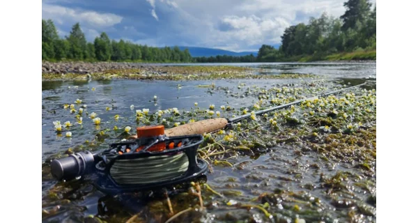 SPORTEX - Muškársky prút Synoris Fly 2,6 m #6 4 diely