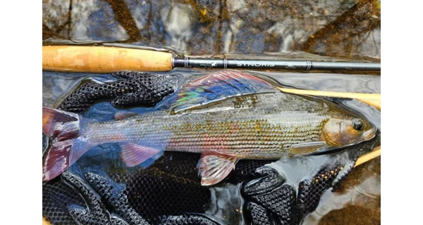 SPORTEX - Muškársky prút Synoris Fly 2,7 m #7 4 diely