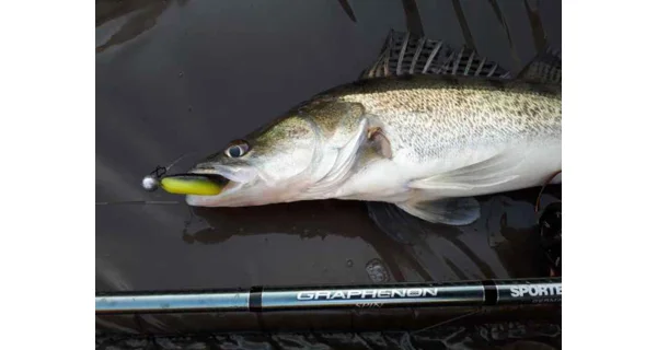 SPORTEX - Prívlačový prút Graphenon Spin 2,7 m 80 g