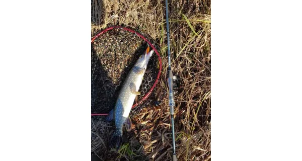 SPORTEX - Prívlačový prút Graphenon Spin 2,7 m 80 g