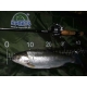 SPORTEX - Prívlačový prút Mystix Trout UL 1,88 m 0,7 - 7 g