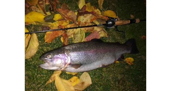 SPORTEX - Prívlačový prút Mystix Trout UL 1,88 m 0,7 - 7 g