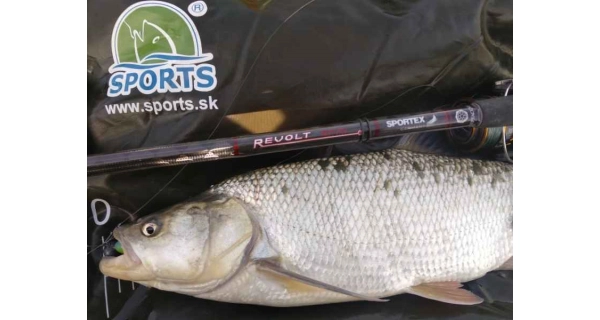 SPORTEX - Prívlačový prút Revolt Spin 2,7 m 40 g 2 diely