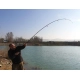 SPORTEX - Prút Beyond Carp 3,96 m 3,75 lb