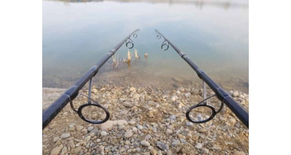 SPORTEX - Prút Beyond Carp 3,96 m 3,75 lb