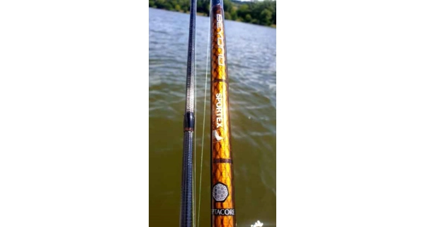 SPORTEX - Prút Beyond Spin 2,4 m 20 g