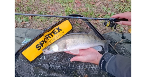 SPORTEX - Prút Black Arrow G4 Spin 2,1 m 40 g 2 diely