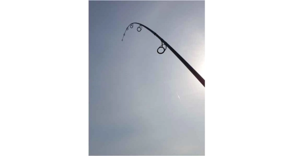 SPORTEX - Prút Catapult CS-3 Carp 3,66 m 2,75 lb