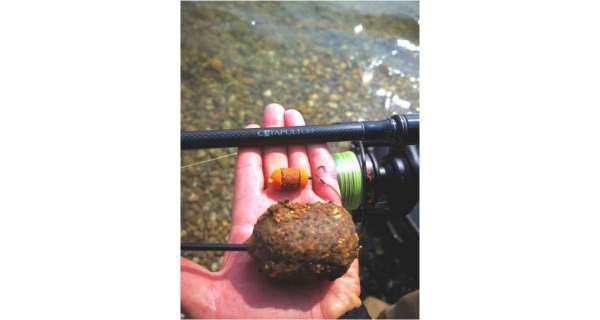 SPORTEX - Prút Catapult CS-3 Carp 3,66 m 2,75 lb