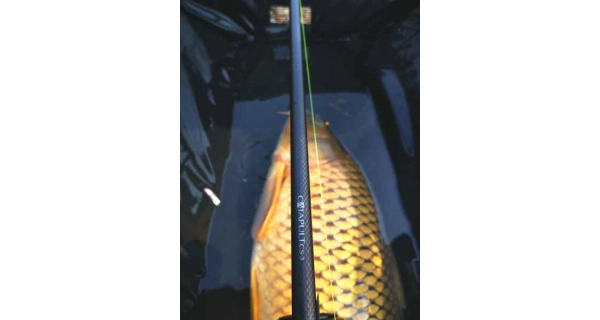 SPORTEX - Prút Catapult CS-3 Carp 3,66 m 2,75 lb