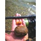 SPORTEX - Prút Catapult CS-3 Carp 3,66 m 3,25 lb