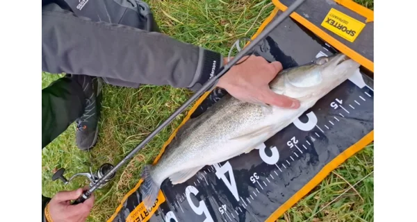 SPORTEX - Prút Graphenon RS-2 Spin 2,4 m 60 g