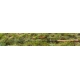 SPORTEX - Prút Morion ST Stalker 3,3 m 2,75 lb